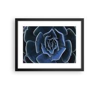 Affiche Poster 40x30cm Tableaux Image Photo Bleu Cactus Fleur Wall Art