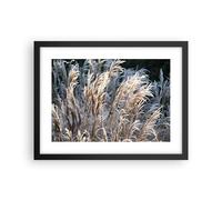 Affiche Poster 40x30cm Tableaux Image Photo Canne Épis De Maïs Boho Wall Art