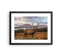 Affiche Poster 40x30cm Tableaux Image Photo Cerf Prairie Montagnes Wall Art