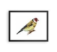 Affiche Poster 40x30cm Tableaux Image Photo Chardonneret Oiseau Aquarelle Art
