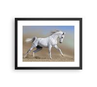 Affiche Poster 40x30cm Tableaux Image Photo Cheval Blanc Animal Wall Art