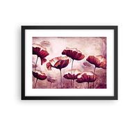 Affiche Poster 40x30cm Tableaux Image Photo coquelicot fleur prairie Wall Art