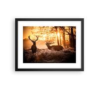 Affiche Poster 40x30cm Tableaux Image Photo Deer bruyère animaux Wall Art