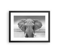 Affiche Poster 40x30cm Tableaux Image Photo Éléphant Afrique Des Animaux Art