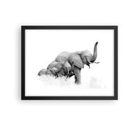 Affiche Poster 40x30cm Tableaux Image Photo Éléphants Famille Noir Et Blanc Art