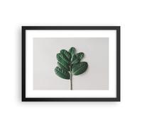 Affiche Poster 40x30cm Tableaux Image Photo Feuilles Plantes Botanique Wall Art
