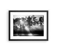 Affiche Poster 40x30cm Tableaux Image Photo Forêt Pin Soleil Wall Art