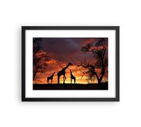 Affiche Poster 40x30cm Tableaux Image Photo Girafe Afrique Soleil Safari Art