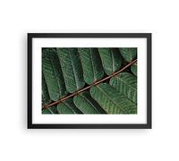 Affiche Poster 40x30cm Tableaux Image Photo Gouttes Eau Feuilles Wall Art