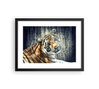 Affiche Poster 40x30cm Tableaux Image Photo Inde pierre tigre sauvage Wall Art