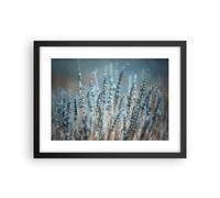 Affiche Poster 40x30cm Tableaux Image Photo Lavande Lame Fleur Wall Art