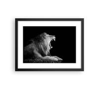 Affiche Poster 40x30cm Tableaux Image Photo Lion Bâillement Noir Et Blanc Art