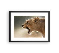 Affiche Poster 40x30cm Tableaux Image Photo Lion Lionne Crocs Wall Art