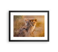 Affiche Poster 40x30cm Tableaux Image Photo lion nature animal Wall Art