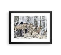 Affiche Poster 40x30cm Tableaux Image Photo Meute Loups Hiver Wall Art