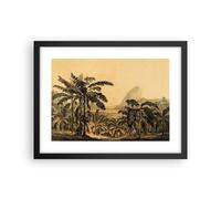 Affiche Poster 40x30cm Tableaux Image Photo Palmiers Forest Des Pluies Wall Art
