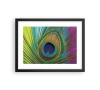 Affiche Poster 40x30cm Tableaux Image Photo Paons Plume Arc En Ciel Wall Art