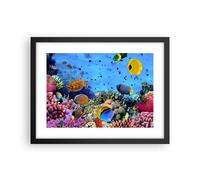 Affiche Poster 40x30cm Tableaux Image Photo Récif de corail Wall Art Decoration