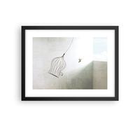 Affiche Poster 40x30cm Tableaux Image Photo Vol Oiseau Cage Wall Art Decoration