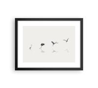 Affiche Poster 40x30cm Tableaux Image Photo Vol Oiseau Héron Wall Art