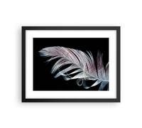 Affiche Poster 40x30cm Tableaux Image Plume Les Couleurs La Délicatesse Art