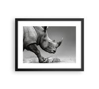 Affiche Poster 40x30cm Tableaux Image Rhinocéros Monochrome Des Animaux Art