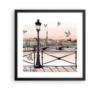 Affiche Poster 40x40cm Tableaux Image France pigeon graphiques illustration Art
