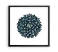 Affiche Poster 40x40cm Tableaux Image Photo Agave Reine Victoria Wall Art