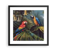 Affiche Poster 40x40cm Tableaux Image Photo Ara Perroquets Palmiers Wall Art