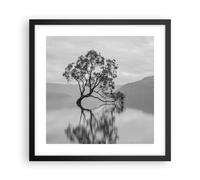 Affiche Poster 40x40cm Tableaux Image Photo Arbre Symétrie Lac Wall Art