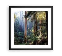 Affiche Poster 40x40cm Tableaux Image Photo Aube Arbres Forêt Wall Art