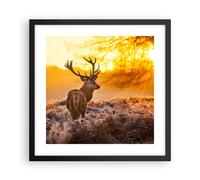 Affiche Poster 40x40cm Tableaux Image Photo Automne paysage nature feuille Art