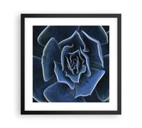 Affiche Poster 40x40cm Tableaux Image Photo Bleu Cactus Fleur Wall Art
