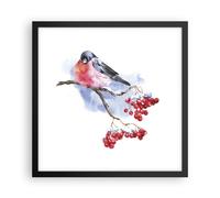 Affiche Poster 40x40cm Tableaux Image Photo Bouvreuil On Branche Wall Art