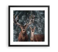 Affiche Poster 40x40cm Tableaux Image Photo Cerf renne chevreuil Wall Art