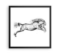 Affiche Poster 40x40cm Tableaux Image Photo Cheval Dessin Crayon Wall Art