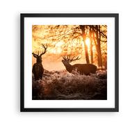 Affiche Poster 40x40cm Tableaux Image Photo Deer bruyère animaux Wall Art