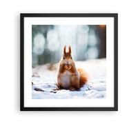 Affiche Poster 40x40cm Tableaux Image Photo Écureuil hiver neige nourriture Art