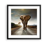 Affiche Poster 40x40cm Tableaux Image Photo Elephant Route Campagne Wall Art