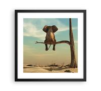 Affiche Poster 40x40cm Tableaux Image Photo Éléphant S'asseyant Branche Wall Art
