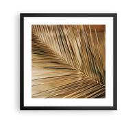 Affiche Poster 40x40cm Tableaux Image Photo Feuille Or Plante Wall Art
