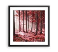 Affiche Poster 40x40cm Tableaux Image Photo Forêt Rouge Arbres Wall Art