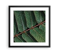 Affiche Poster 40x40cm Tableaux Image Photo Gouttes Eau Feuilles Wall Art