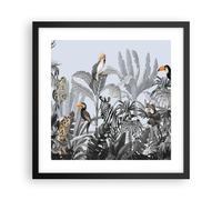 Affiche Poster 40x40cm Tableaux Image Photo Jungle Animaux Toucans Wall Art