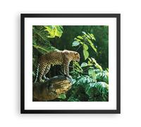 Affiche Poster 40x40cm Tableaux Image Photo Jungle Léopard Panthère Wall Art