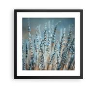 Affiche Poster 40x40cm Tableaux Image Photo Lavande Lame Fleur Wall Art