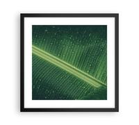 Affiche Poster 40x40cm Tableaux Image Photo Macro Feuille Gouttes Wall Art