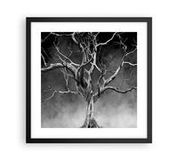 Affiche Poster 40x40cm Tableaux Image Photo Noir Et Blanc Branches Fumée Art