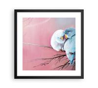 Affiche Poster 40x40cm Tableaux Image Photo Oiseaux Bleu Branche Wall Art