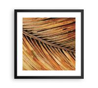 Affiche Poster 40x40cm Tableaux Image Photo Orange Feuille Tropical Wall Art